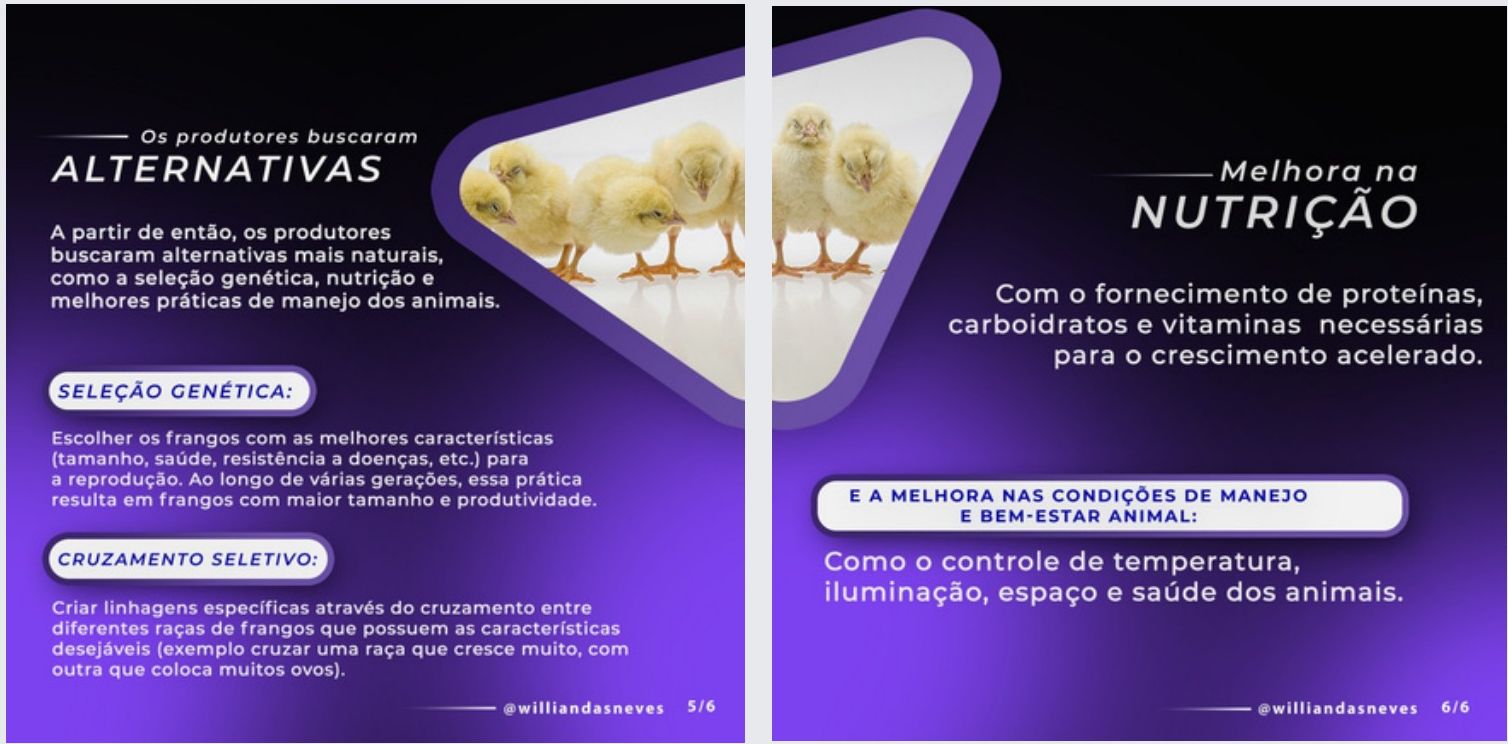 Carrossel científico: Willian das Neves